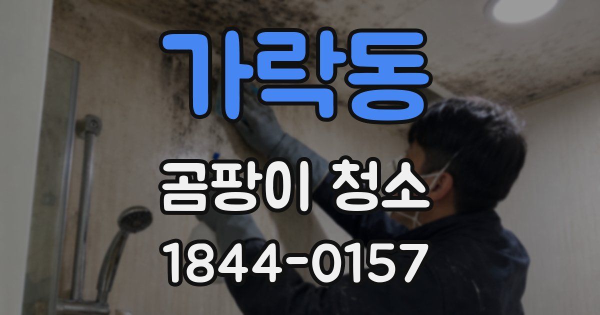 가락동 곰팡이 청소