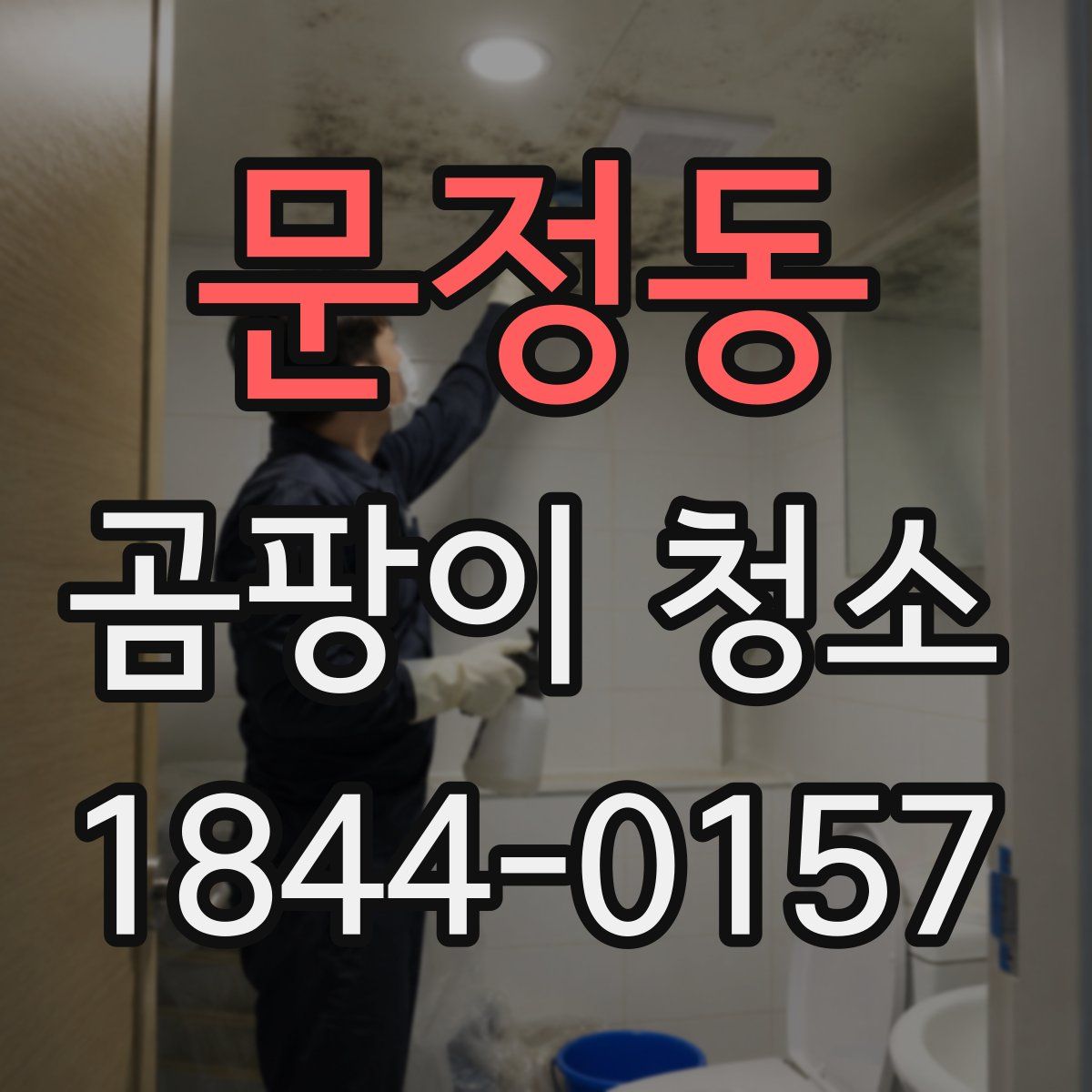 문정동 곰팡이 청소