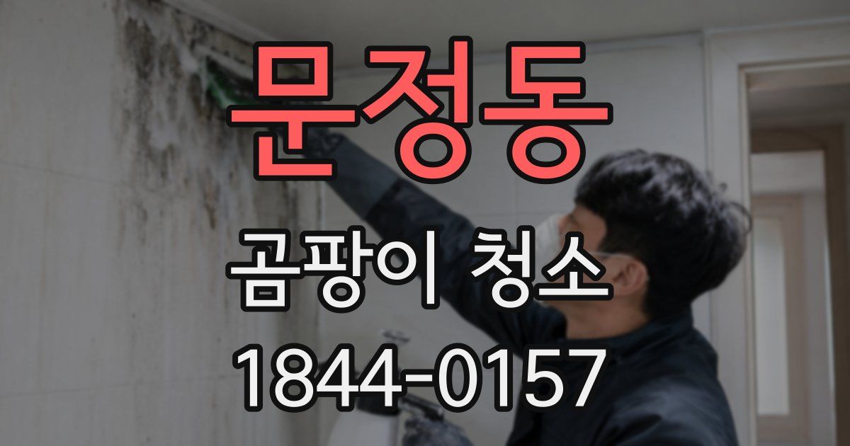 문정동 곰팡이 청소