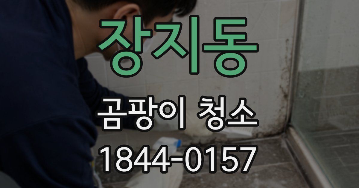 장지동 곰팡이 청소