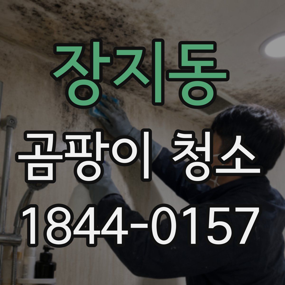 장지동 곰팡이 청소