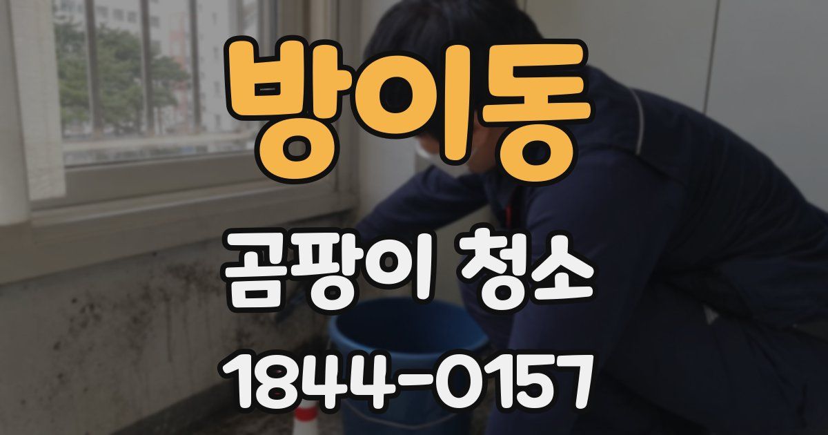 방이동 곰팡이 청소