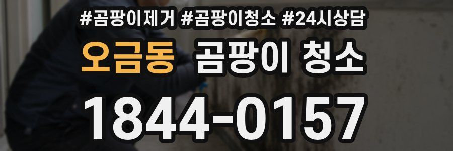 오금동 곰팡이 청소