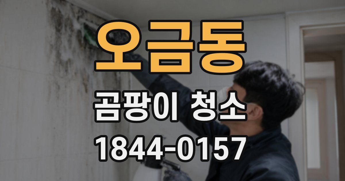 오금동 곰팡이 청소