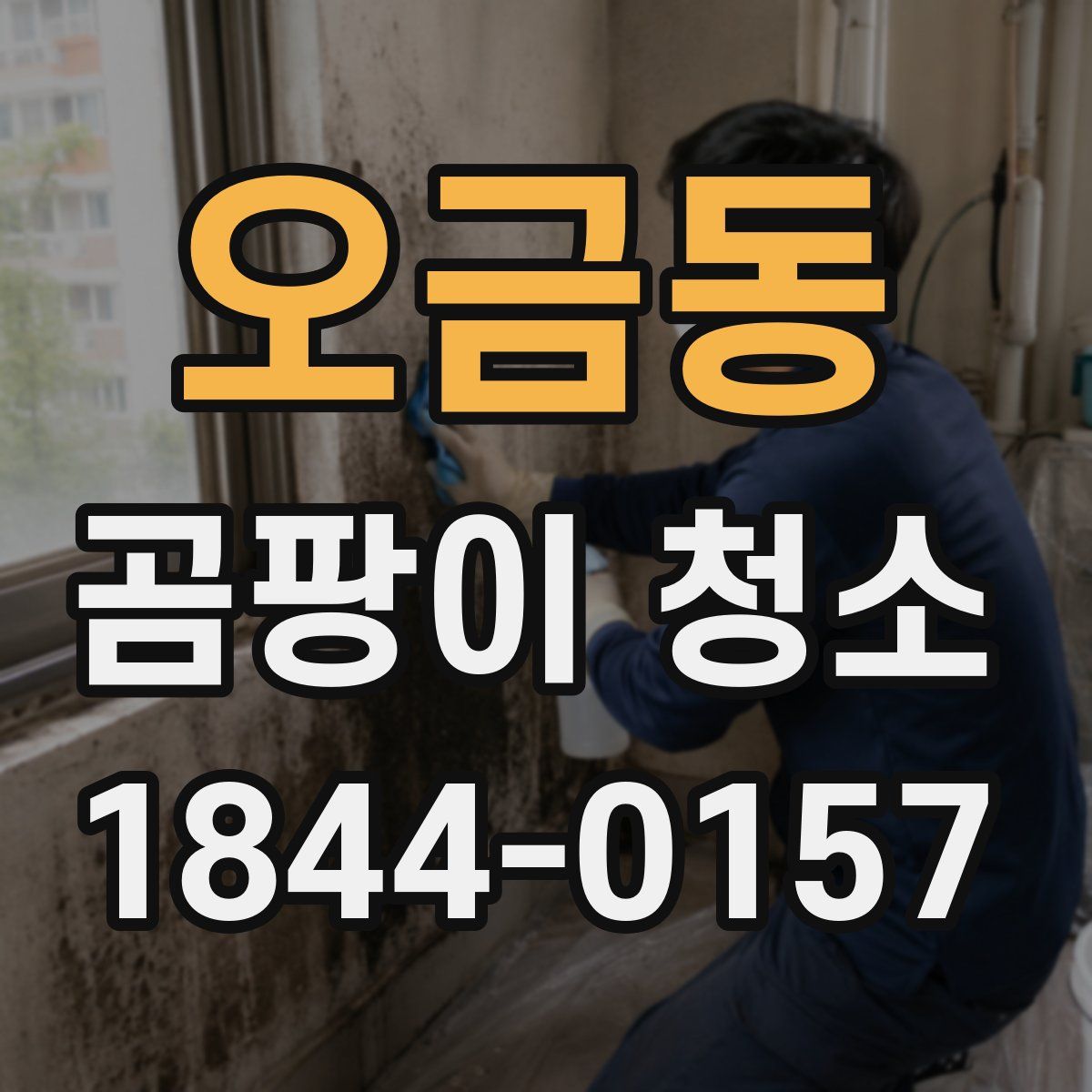 오금동 곰팡이 청소