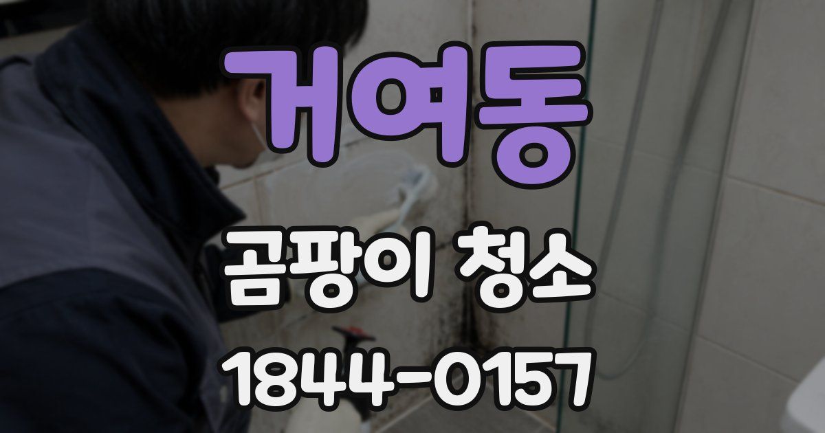거여동 곰팡이 청소