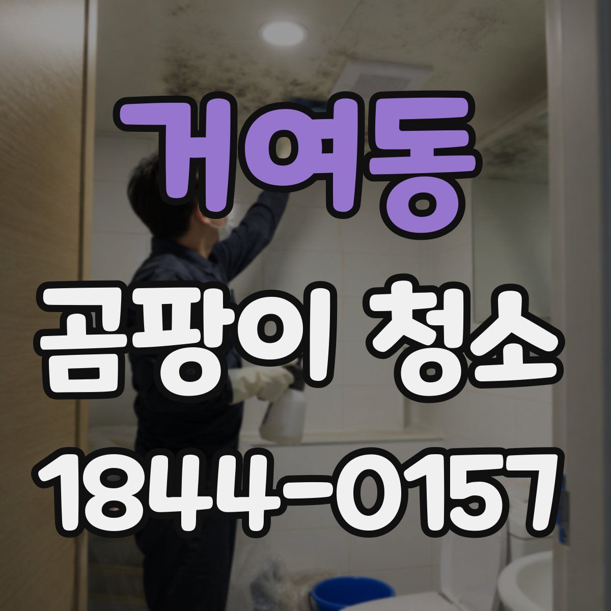 거여동 곰팡이 청소