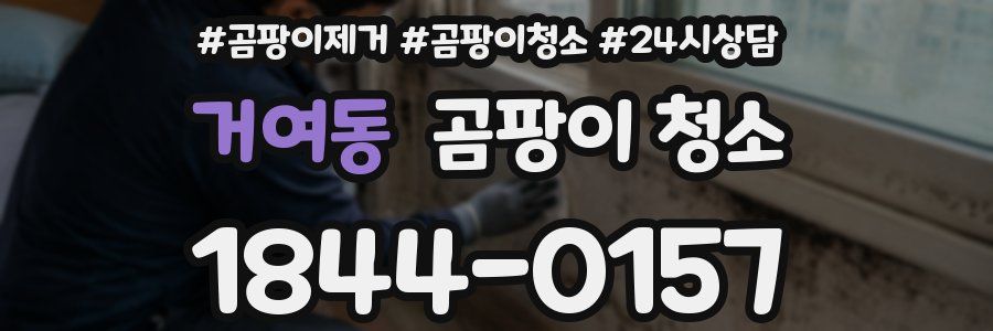 거여동 곰팡이 청소