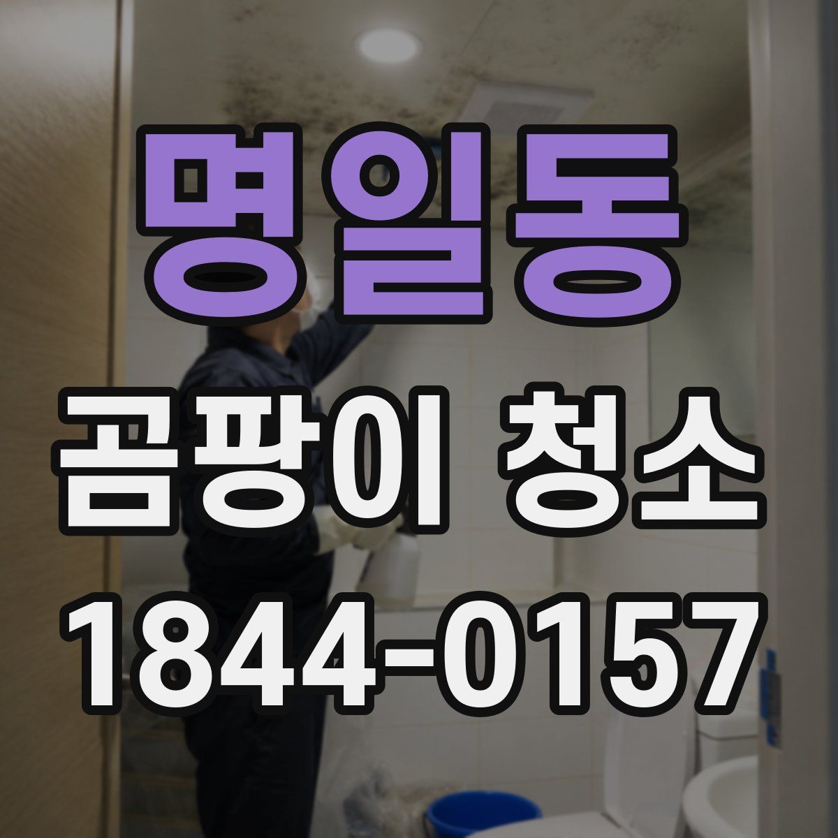 명일동 곰팡이 청소