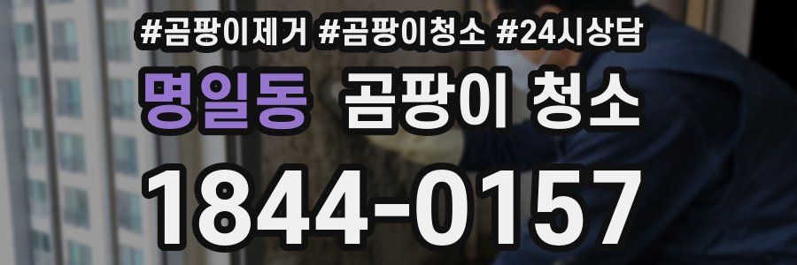 명일동 곰팡이 청소