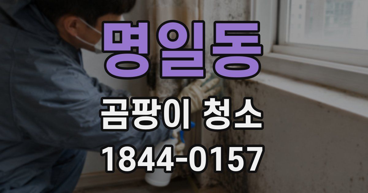 명일동 곰팡이 청소