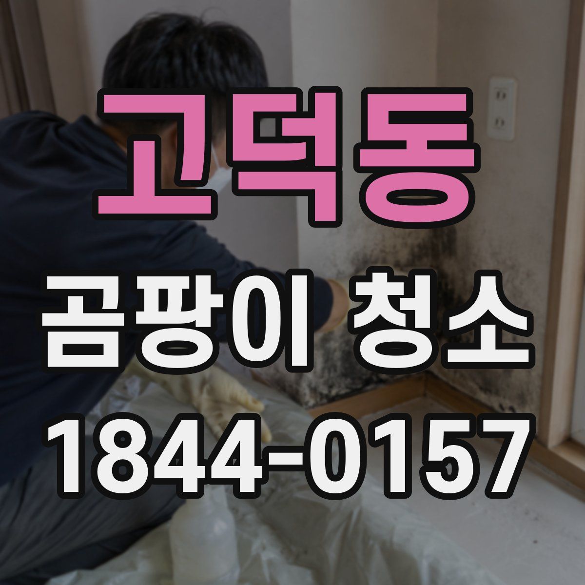 고덕동 곰팡이 청소