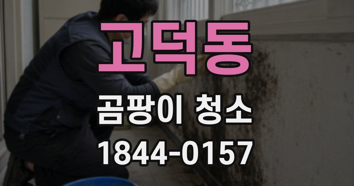 고덕동 곰팡이 청소