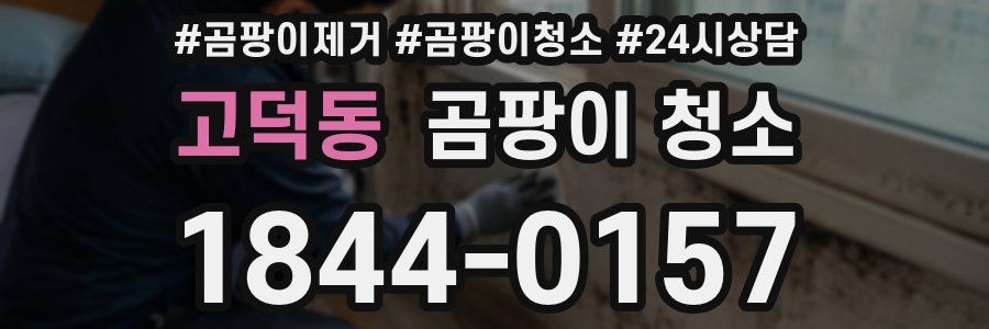 고덕동 곰팡이 청소