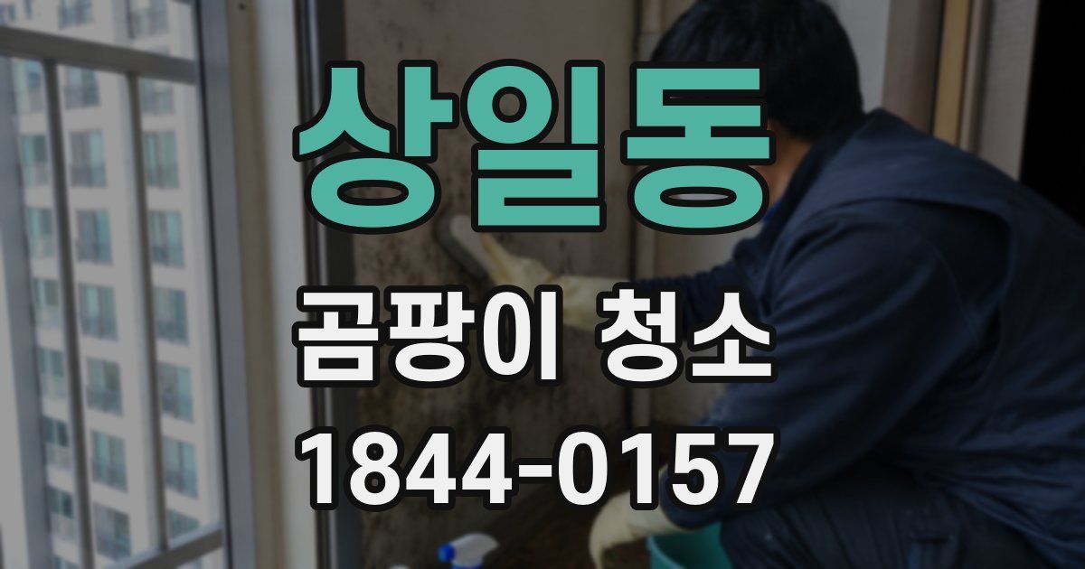 상일동 곰팡이 청소