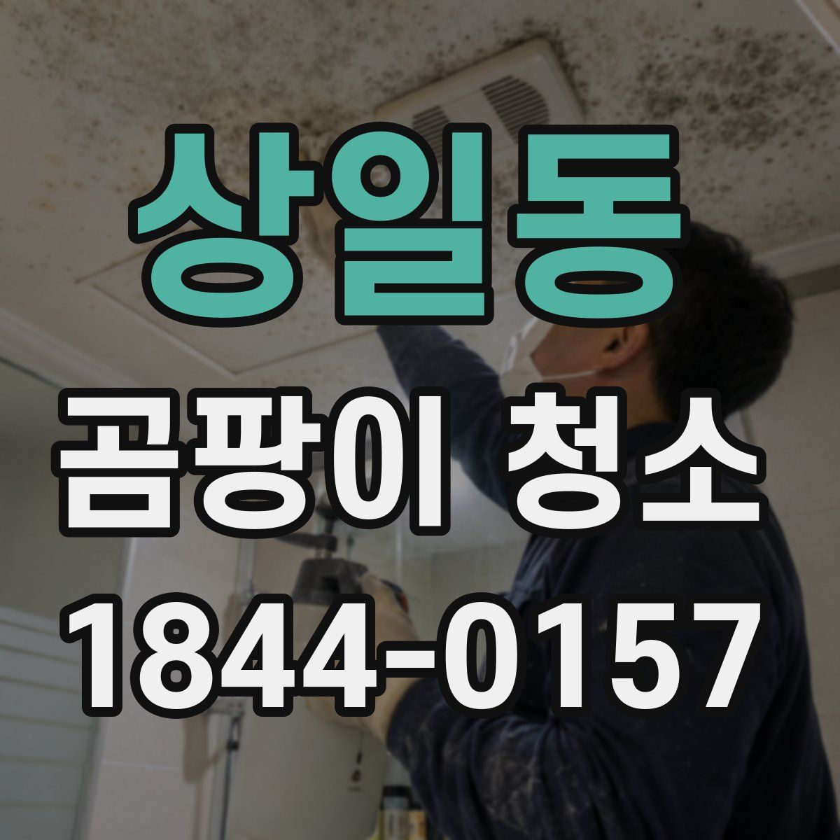 상일동 곰팡이 청소