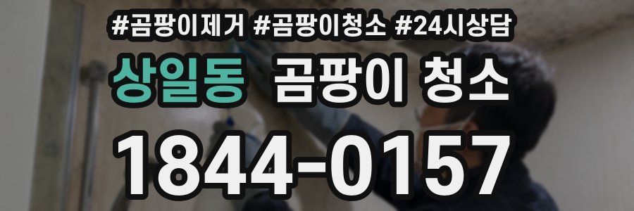 상일동 곰팡이 청소