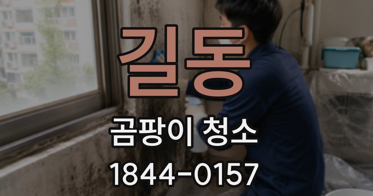 길동 곰팡이 청소