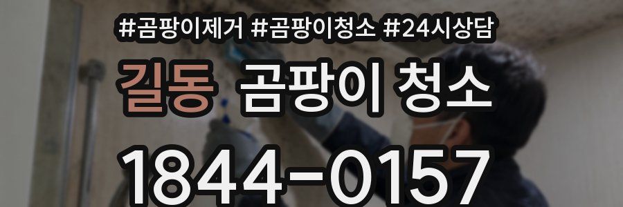 길동 곰팡이 청소