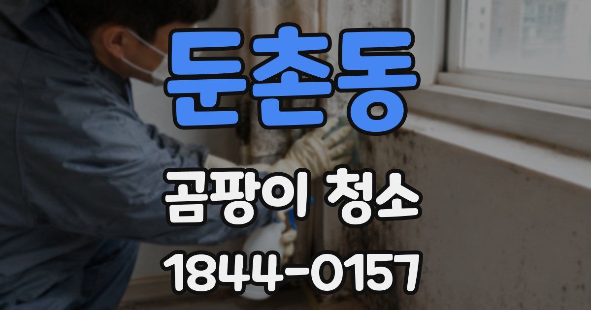 둔촌동 곰팡이 청소