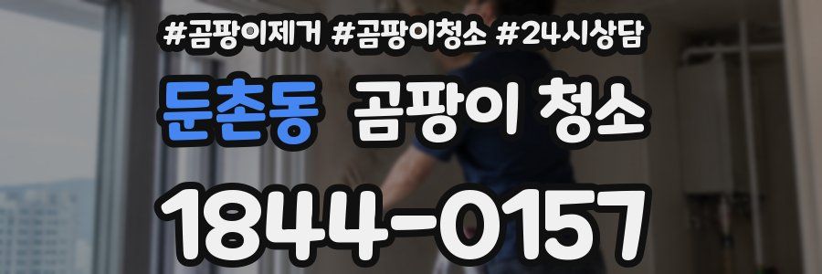 둔촌동 곰팡이 청소