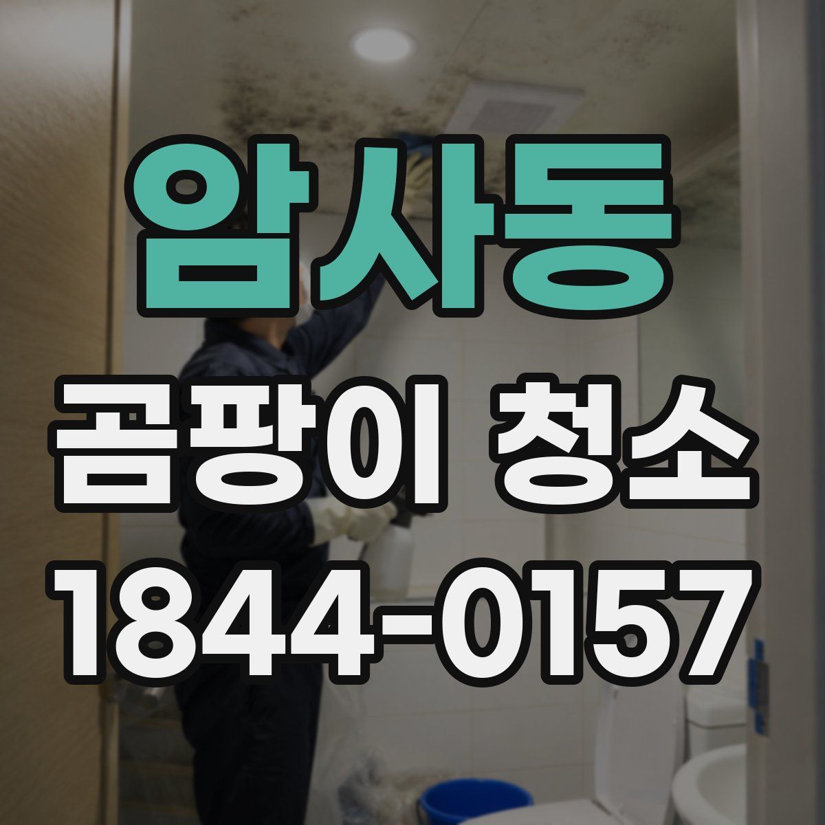 암사동 곰팡이 청소