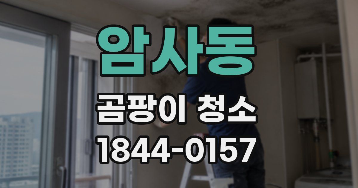 암사동 곰팡이 청소