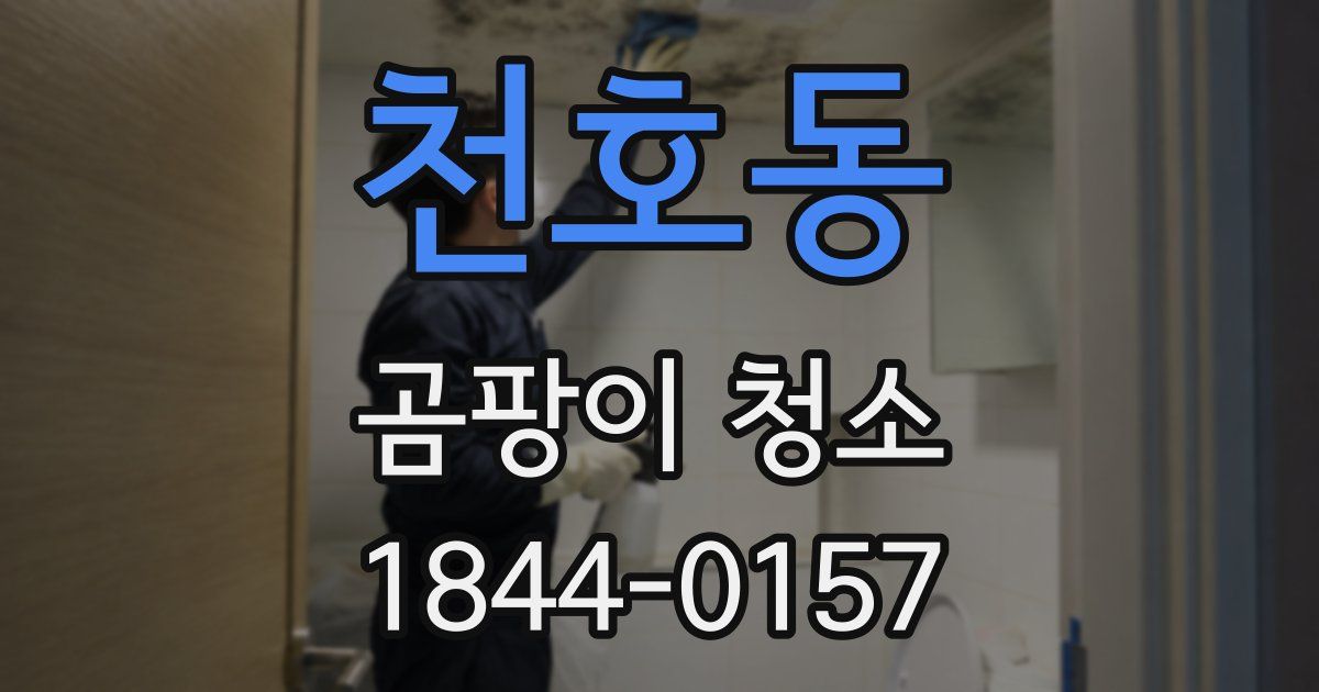 천호동 곰팡이 청소