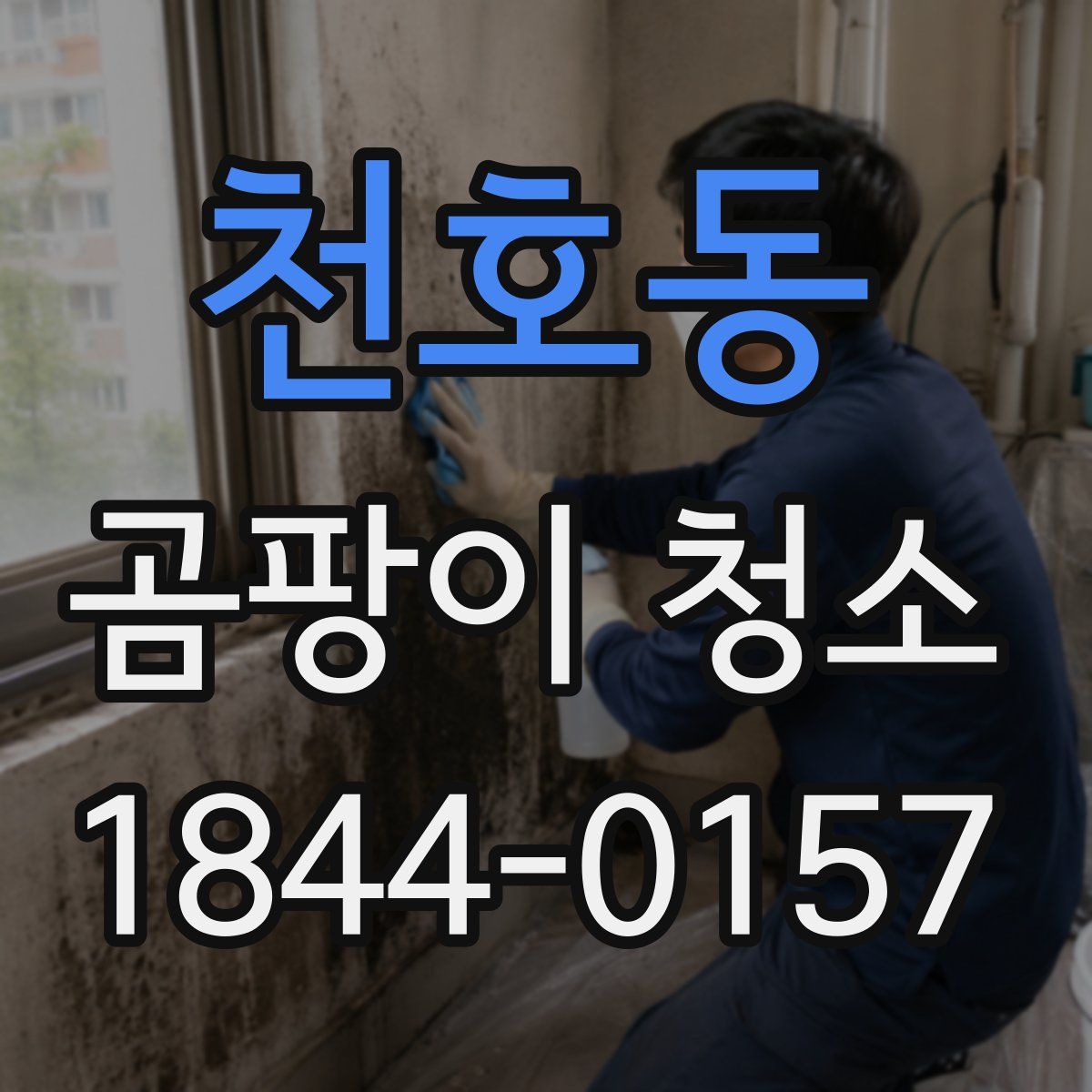 천호동 곰팡이 청소