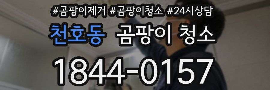 천호동 곰팡이 청소