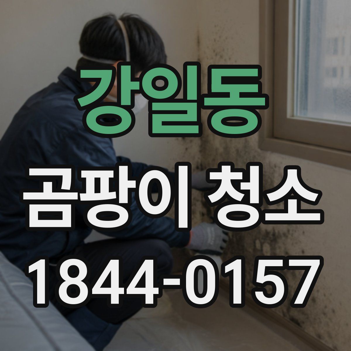 강일동 곰팡이 청소
