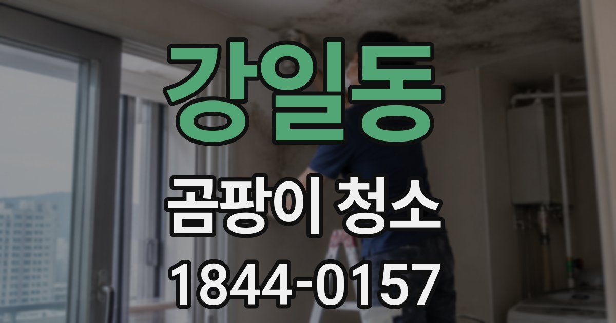 강일동 곰팡이 청소