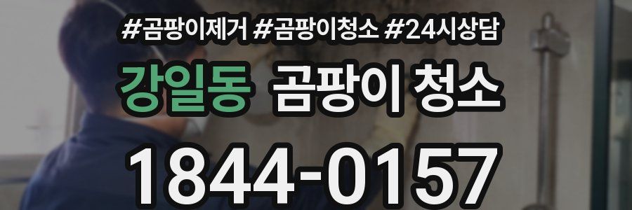 강일동 곰팡이 청소