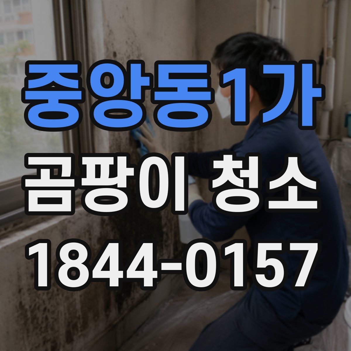 중앙동1가 곰팡이 청소