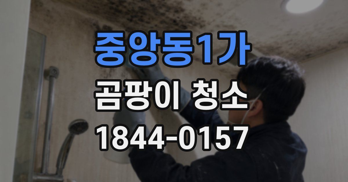 중앙동1가 곰팡이 청소
