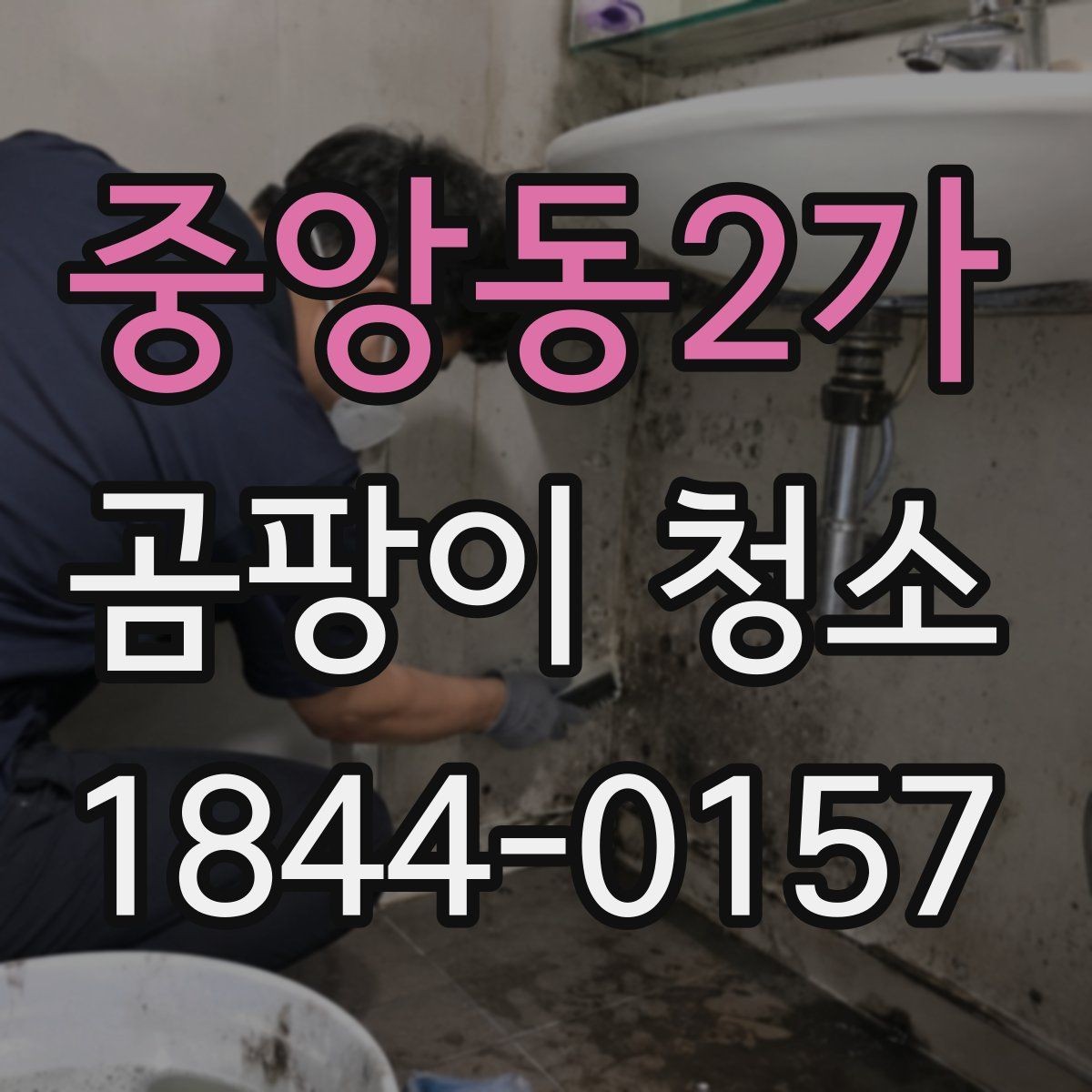 중앙동2가 곰팡이 청소 시 주방 벽면 오염 원인을 찾는 방법