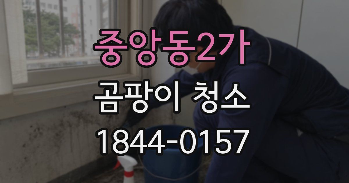 중앙동2가 곰팡이 청소