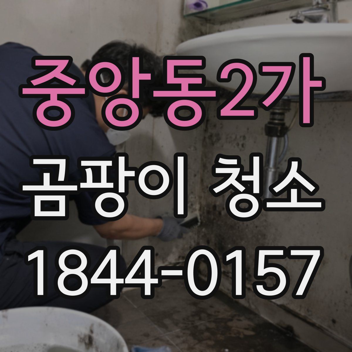 중앙동2가 곰팡이 청소
