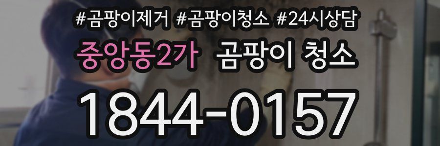 중앙동2가 곰팡이 청소