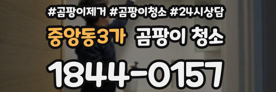 중앙동3가 곰팡이 청소
