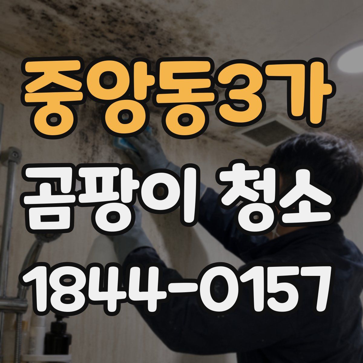 중앙동3가 곰팡이 청소