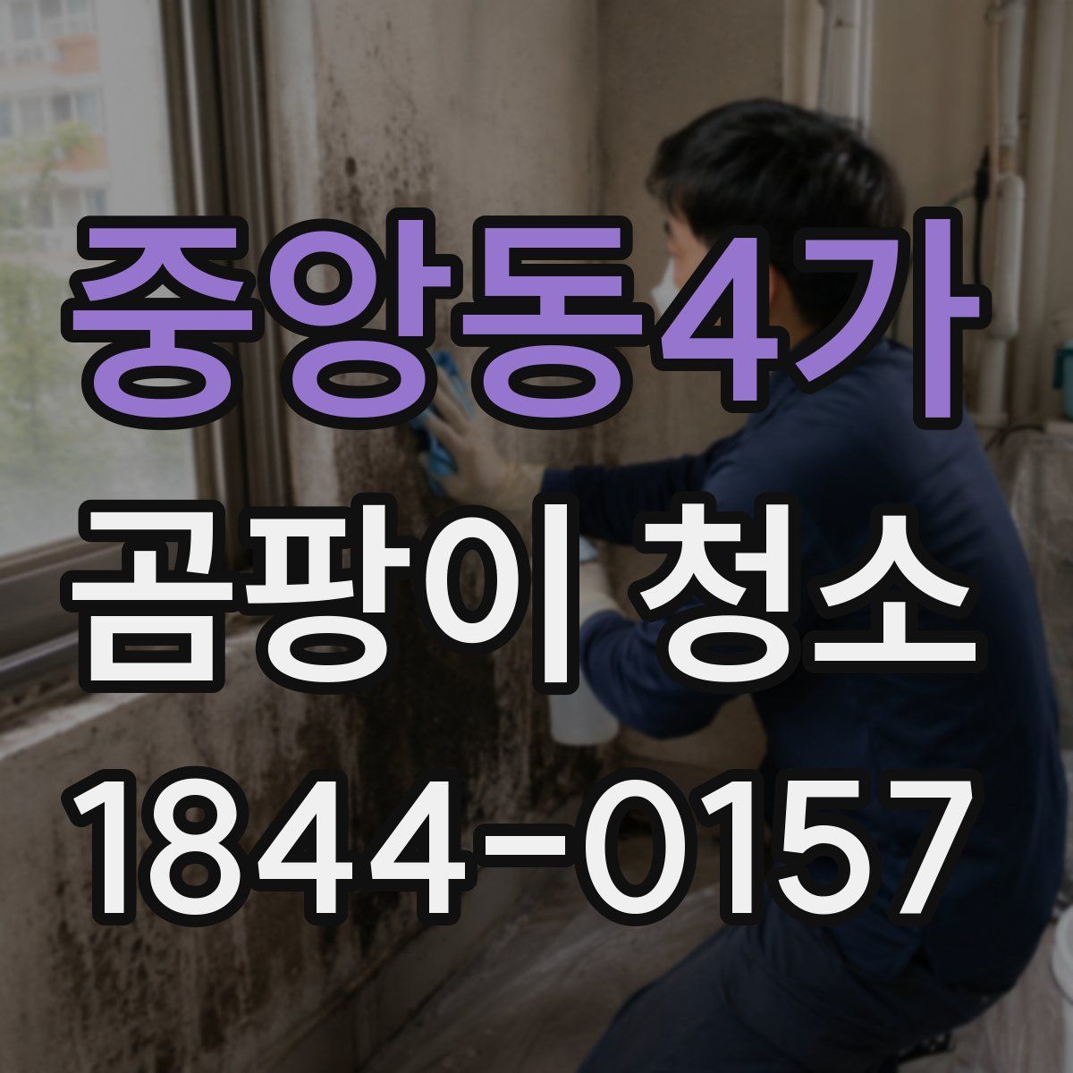 중앙동4가 곰팡이 청소