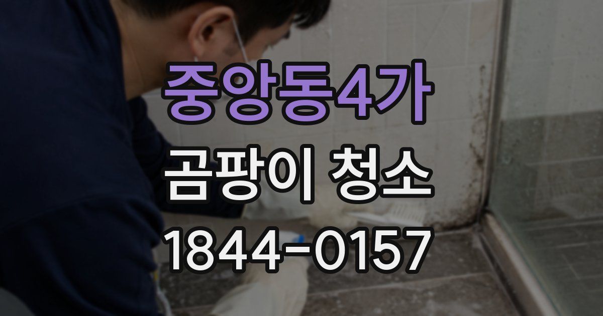 중앙동4가 곰팡이 청소
