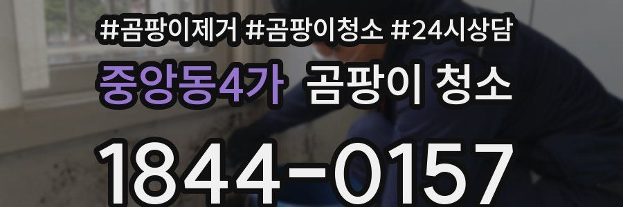 중앙동4가 곰팡이 청소