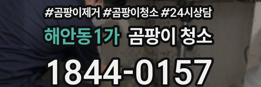해안동1가 곰팡이 청소
