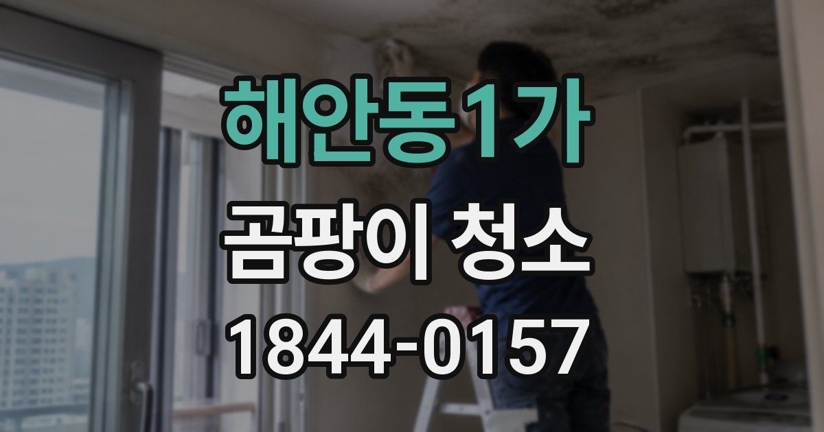 해안동1가 곰팡이 청소