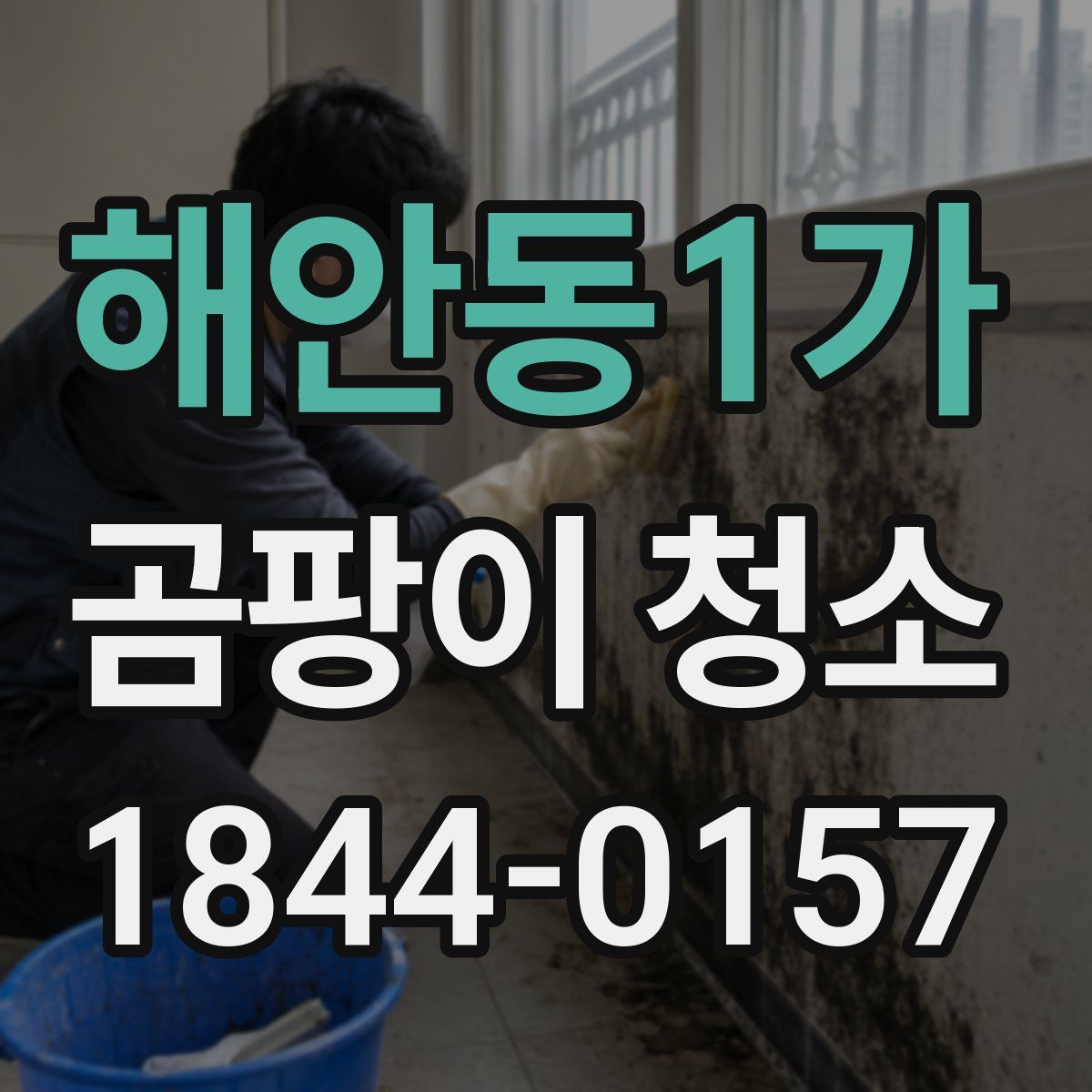 해안동1가 곰팡이 청소