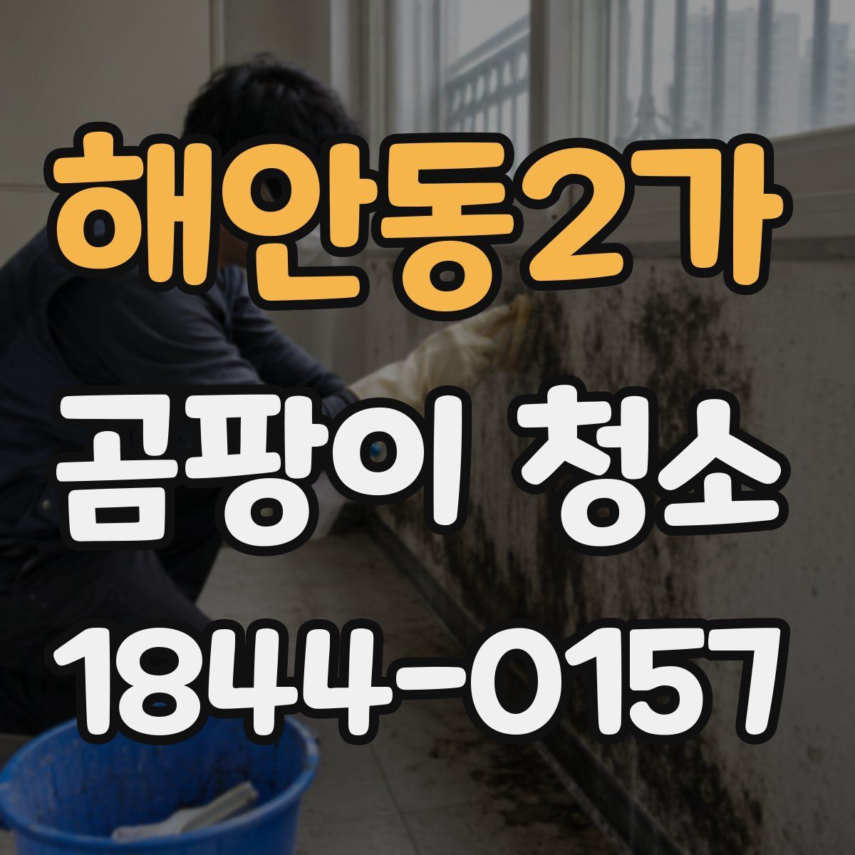 해안동2가 곰팡이 청소