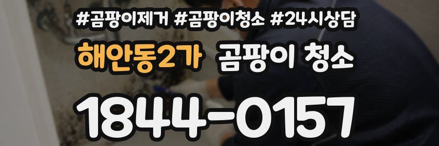 해안동2가 곰팡이 청소