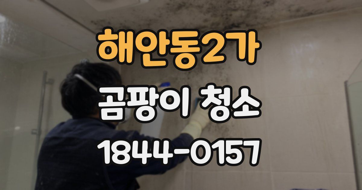 해안동2가 곰팡이 청소